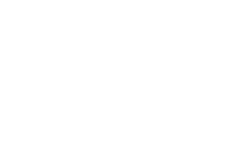 BLACK SCOPE & BS AGENCY